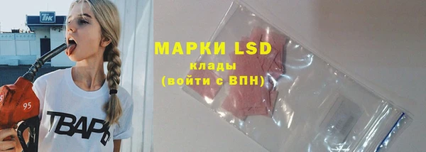 spice Арсеньев