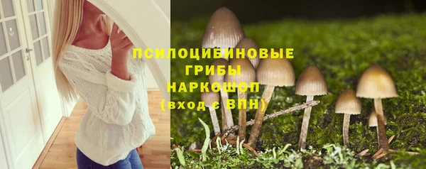 spice Арсеньев